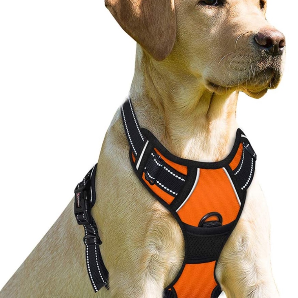 BARKBAY Dog Harness No-Pull Pet Harness Adjustable Outdoor Pet Vest Front Clip H
